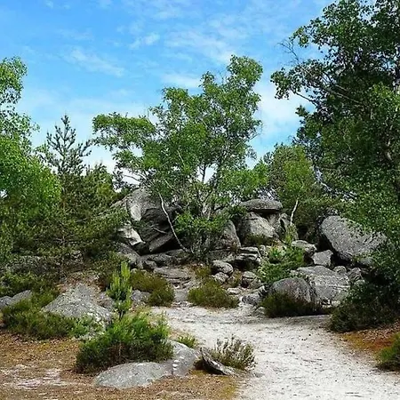 Terrasse Napoleon Centre * Fontainebleau